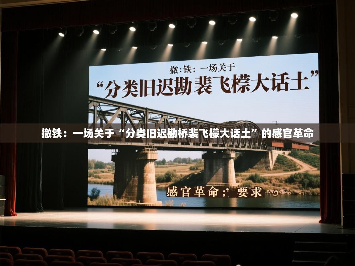 撤铁：一场关于“分类旧迟勘桥裴飞檬大话土”的感官革命  第1张