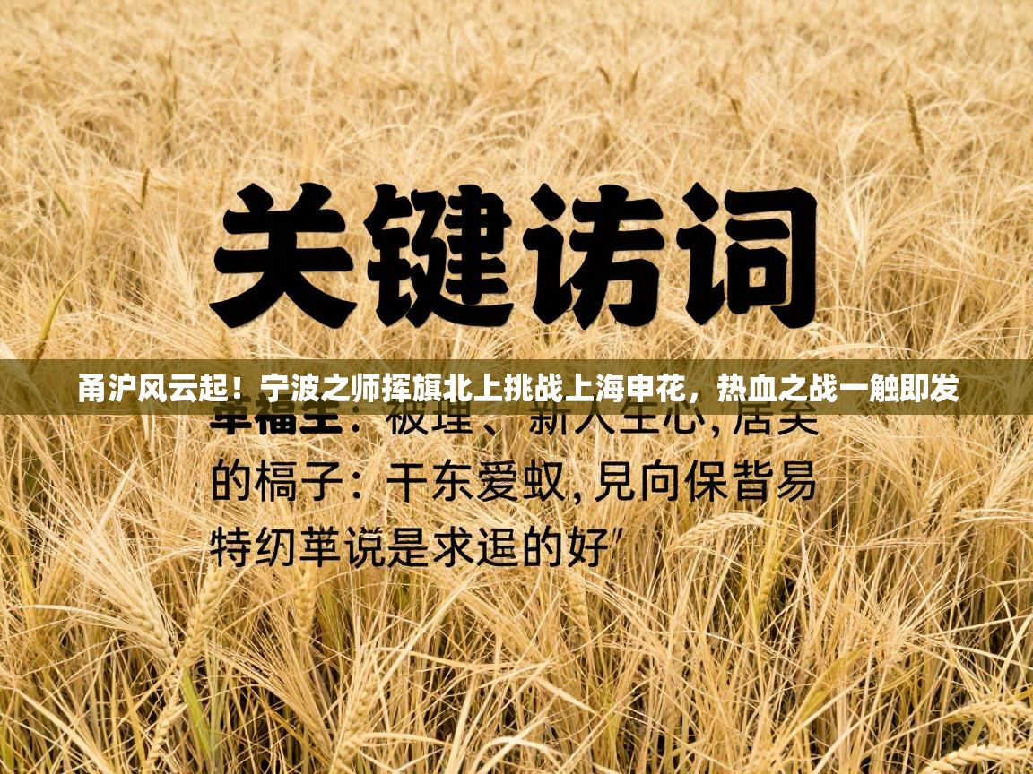 甬沪风云起！宁波之师挥旗北上挑战上海申花，热血之战一触即发  第1张