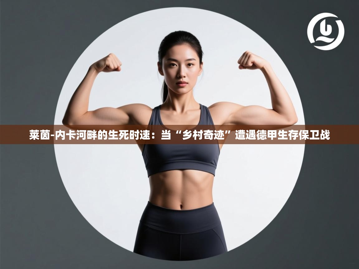 莱茵-内卡河畔的生死时速:当“乡村奇迹”遭遇德甲生存保卫战 第1张