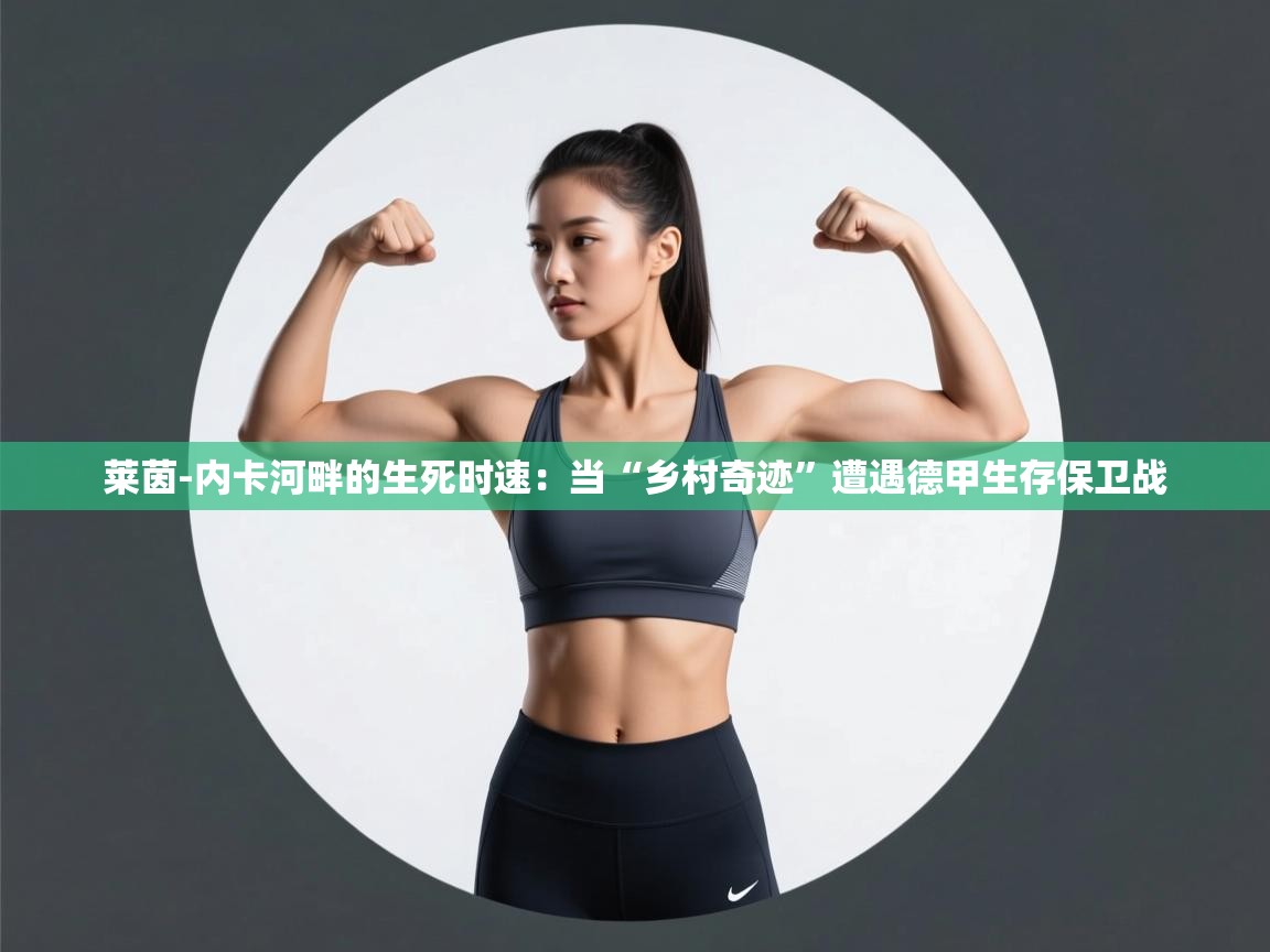 莱茵-内卡河畔的生死时速:当“乡村奇迹”遭遇德甲生存保卫战 第2张