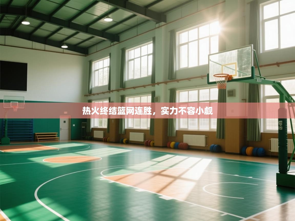 热火终结篮网连胜，实力不容小觑  第2张