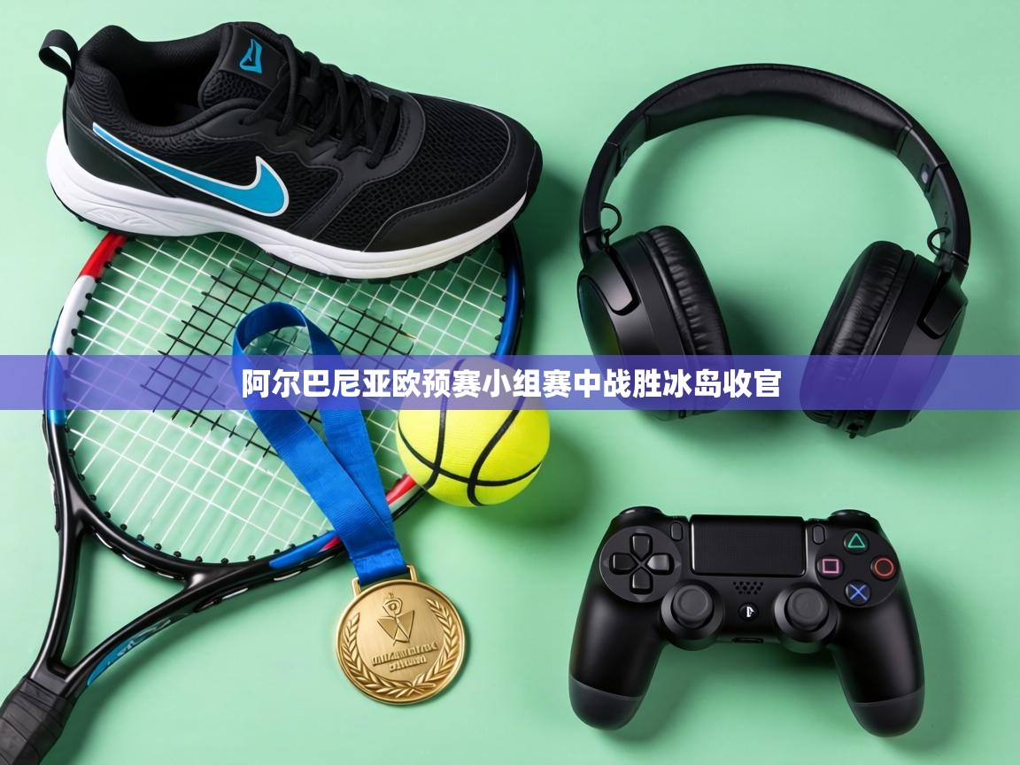 阿尔巴尼亚欧预赛小组赛中战胜冰岛收官 第1张